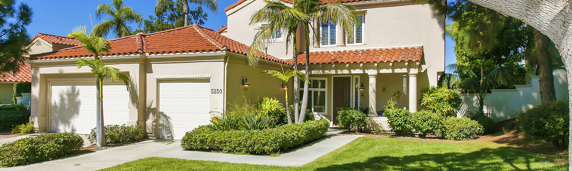 Vince Ferragamo HelpVet